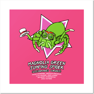 Magnolia Green Jumping Spider Posters and Art